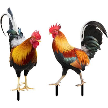 Havefigur af Kylling til Haven, 2 stk. Havehane Statue Kylling Gærde