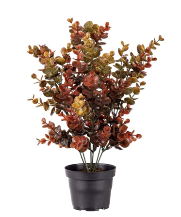 Mr Plant Kunstig Plante Eucalyptus H40