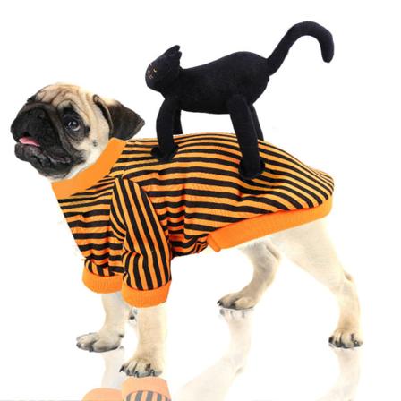 Kjæledyrsklær Morsom svart katt Stående antrekk Hund Halloween Julefestantrekk Mellomstor hund Orange black striped m