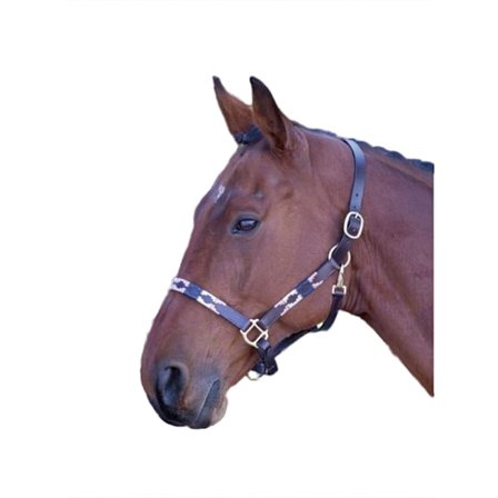 Blenheim Läder Polo Hästgrimma Ponny Rosa/Marinblå/Naturlig