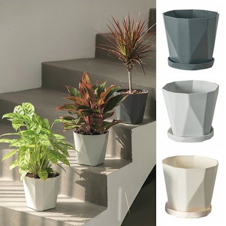 3 st blomkrukor Suckulentlåda S