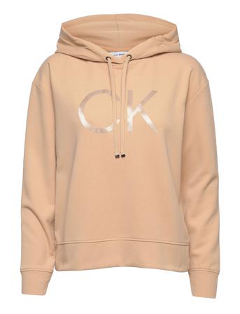 Shine Logo Reg Hoodie Hoodie Beige Calvin Klein