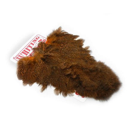 Whiting Coq De Leon Hen SH/C Speckled dyed Shrimp Orange