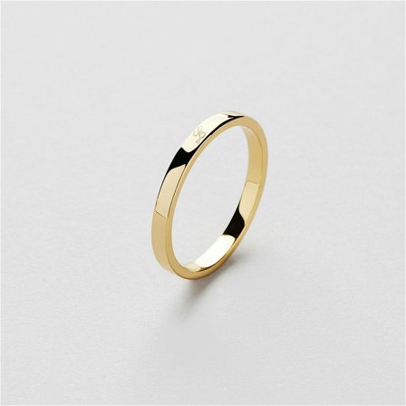 Nor ring Gravur - 18K VERGOLDETES STERLINGSILBER