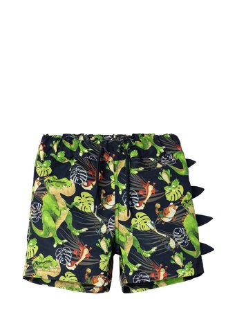 name it | Nmmmaz Gigantosaurus Long Swimshorts Vde | 80
