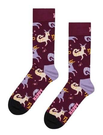 Happy Socks | Capricorn Sock | 41-46
