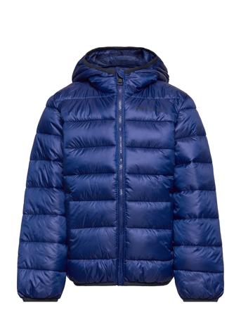 Hooded Jacket Blue Champion