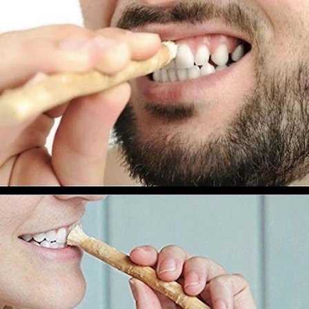 Miswak Tannpirk - Gammel Metode for Tannpuss - Autentiske Arabiske Planter