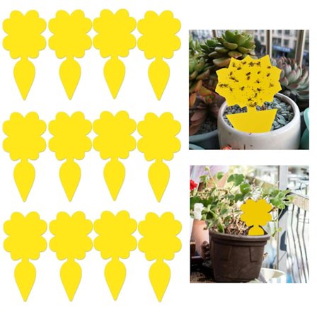 Klistret fælde til skadedyr på stueplanter Fluefanger 12-pak