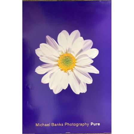Pure - Michael Banks Blomma