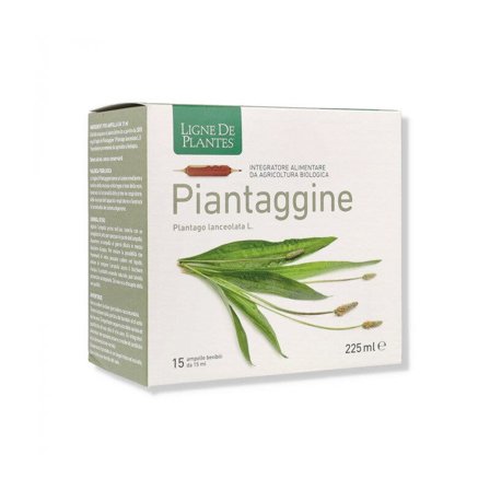 Ligne De Plantes Piantaggine Bio 15 Ampolle