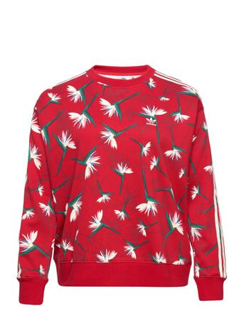 Thebe Magugu Crew Sweater Sweatshirt Trøje Multi/mønstret Adidas Originals