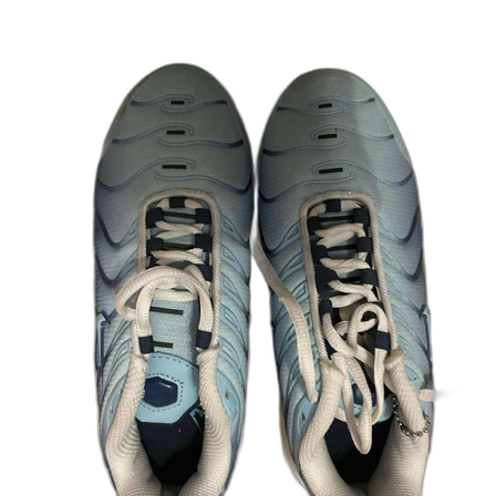 Nike Air Max Plus blå sneakers