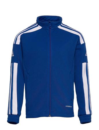 Sq21 Tr Jkt Y Sweat-shirt Genser Blå Adidas Performance