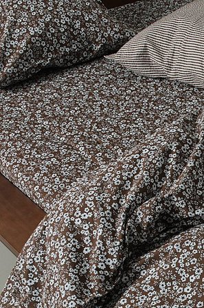 Jotex - Dra-på-lakan Brun ANEMONE - Köp Dra-på-lakan hos Jotex