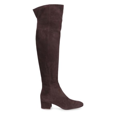 Gianvito Rossi Laarzen , Bruin , Dames , Maat: 41 EU Hoge & overknee laarzen