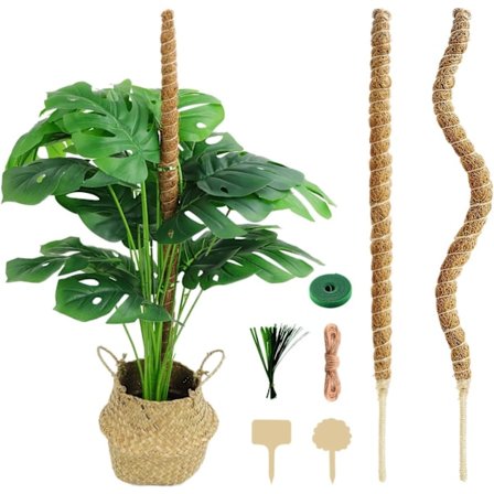 4-pakkauksen puutarhapylväät Monstera deliciosa -kasveille, kiipeilytelineet, taivutettavat sammalpylväät, Pothos ja kiipeilykasvit