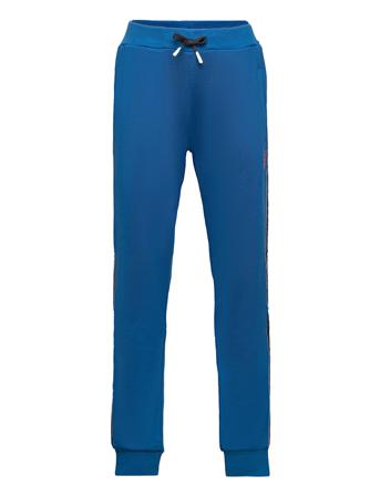 Lwpandum 202 - Sweat Pants Blue Lego Wear