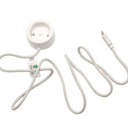 Type C/USB-opladningsdockingstation til Laifen elektrisk tandbørste, hurtigopladningskabel, bærbar opladningsbase, 1 m lang