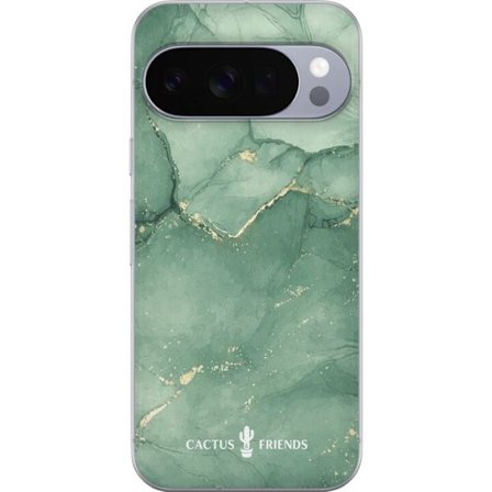 Yhteensopiva Puhelinkuori Google Google Pixel 10 Pro Cactus and Friends – JadeVeins