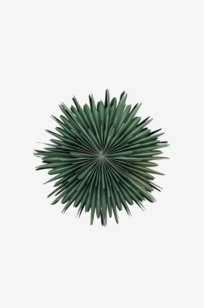 Venture Home - Valotähti Sälen - Vihreä - Valotähdet - - Homeroom