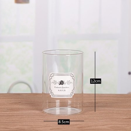 Sylinterimaljakot Lasimaljakko 8.5*12CM 8.5*12CM