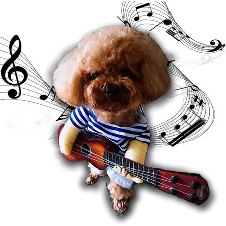 Pet Guitar Kostume Hundekostumer Kat Halloween Jul Cosplay