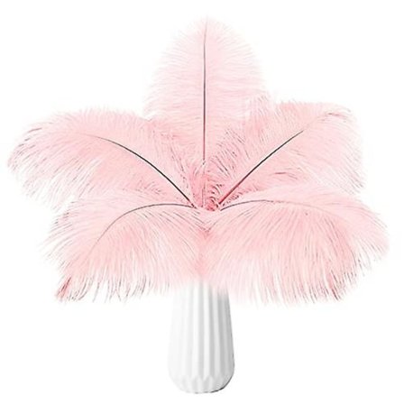 20 stk Naturlige Bulk Strutsefjær - Perfekt