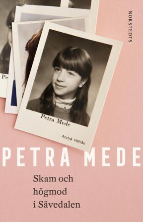Skam och högmod i Sävedalen - Bok av Petra Mede - Inbunden