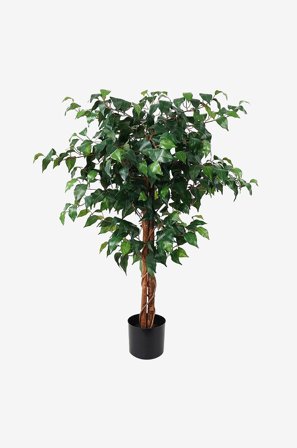 Present Time - Kunstig plante Fig Ficus - Grøn - Kunstige planter - Fra Homeroom
