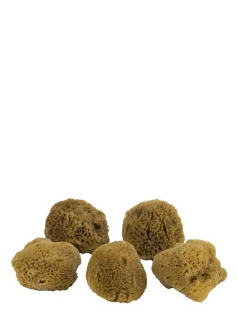 Ocean Face Sponges - 5 Pcs. Home Decoration Bathroom Interior Bath Brushes Brun Mette Ditmer