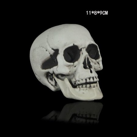 Skull Head Skull Decor 6 6