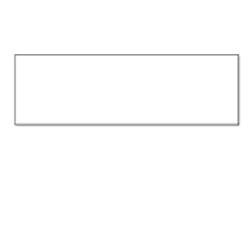 SEIKO Instruments SLP-2RLH - adresselapper - 520 stk - 28 x 89 mm