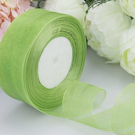 45M*2cm Sheer Chiffon Bånd Organza Blondebånd LYS GRØN