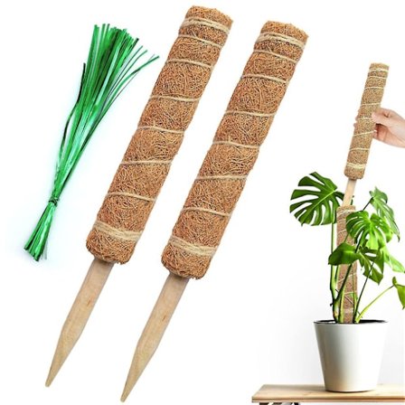 2 stk mosepinne for klatreplanter, plantepinne (40 cm)