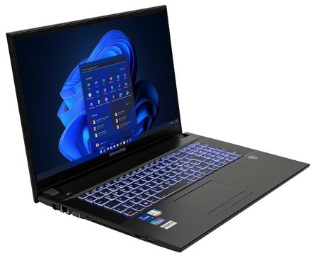 BLUECHIP TRAVELline 17W4 EDU i5-1335U W11Pro 17.3" 16GB 500GB SSD DVD-RW.