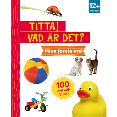 Titta! Vad är det? Mina första ord Pekbok med handtag