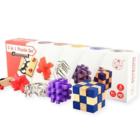 IQ-pussel Set 5 i 1 Challenge
