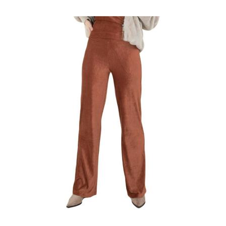 Anna Van Toor Pantalon , Bruin , Dames , Maat: M