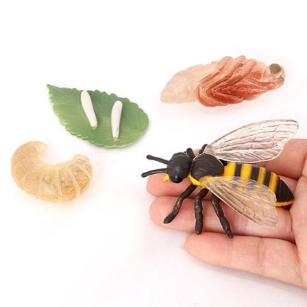 4xplastic Barn Insekt Bie Vekst Livssyklus Figurer Utdannings Læringsleker