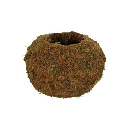 Sammalipallo Kokedama M - Ruskea - D 14,5 x H 9,8 cm