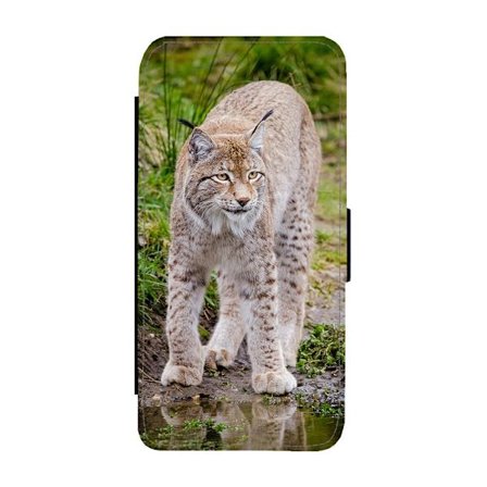 Lodjur iPhone XR Flip Mobilfodral