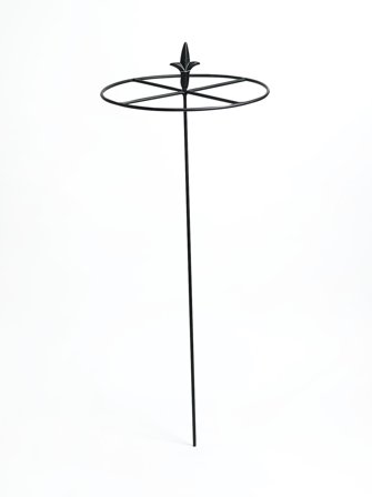 Nelson Garden 6096 Staudestøtte svart, Ø 28 x 75 cm, Avling