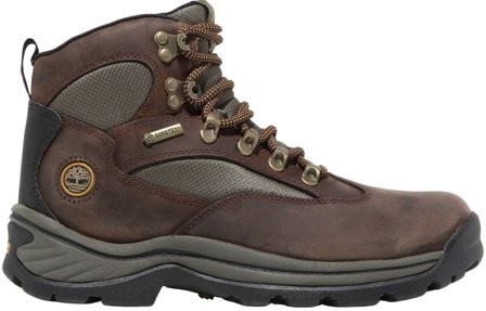 Timberland Womens Chocorua Mid Lace Up GTX Hiking Boot Dark Brown