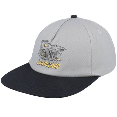 Santa Cruz - Gris snapback Gorra - Braun Fever Dream Stone Grey/Black Snapback @ Hatstore