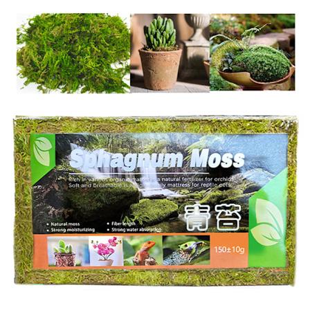 Pakke 150g Komprimert naturlig Sphagnum mose Tørr torvmose Potte Grønn en størrelse