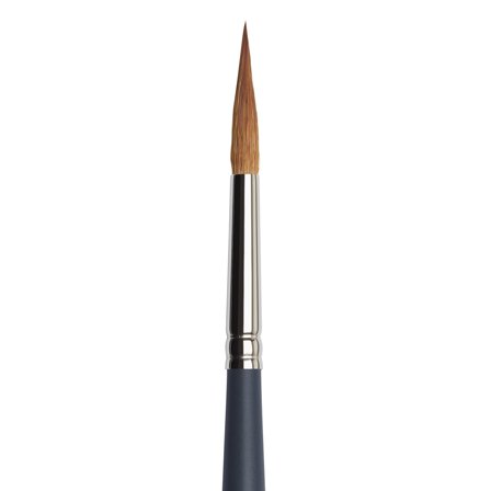 Professional Brush Pointed Round Size 8