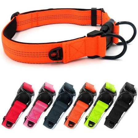 Justerbart hundhalsband, reflekterande nylonneopren med Acsergery separat ID-ring och dubbel D-ring, present
