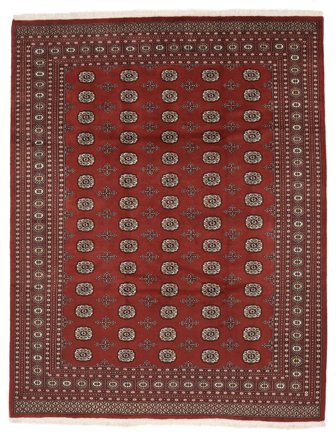 Dywan Pakistański Bucharski 2Ply 246X315 Ciemnoczerwony/Czarny (Wełna, )