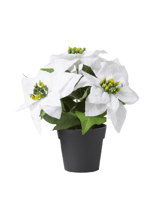 Åhléns Home Konstväxt julstjärna i kruka Blommor & växter Vit ONESIZE